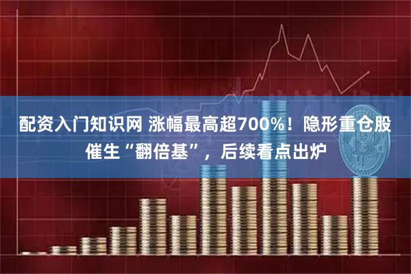 配资入门知识网 涨幅最高超700%！隐形重仓股催生“翻倍基”，后续看点出炉