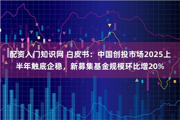 配资入门知识网 白皮书：中国创投市场2025上半年触底企稳，新募集基金规模环比增20%
