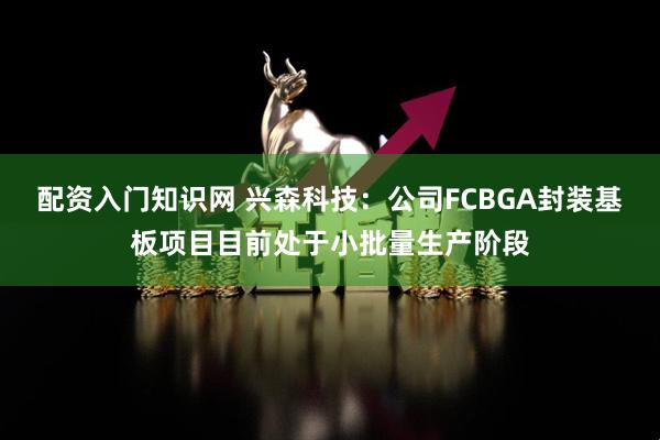 配资入门知识网 兴森科技：公司FCBGA封装基板项目目前处于小批量生产阶段